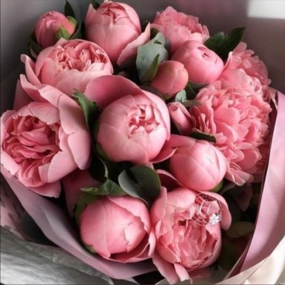 5 ⭐️⭐️⭐️⭐️⭐️ Rated Poshmark Ambassador - Picture 8 of 11